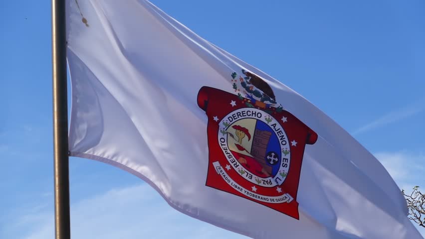 The white flag of the State of Oaxaca, featuring its official coat of arms and the national emblem, flying outdoors against a clear blue sky in Mexico.