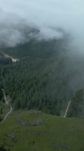 Vertical screen Cloudy forest adventure, Hidden woods amidst morning mist, Journey through foggy rural wooded rural landscape, Flying over mistcovered green valleys and dense forest paths