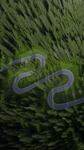 dolomites scenic forest path, elevated perspective of curving asphalt trail among dense pine trees, aerial perspective showcasing winding roadway weaving through flourishing pine forest