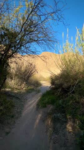 Sunlit Cliffs of the Boquillas Canyon Trail (Big Bend National Park, Texas, USA)