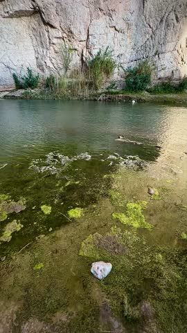 Mossy Shores of Boquillas Canyon with Rio Grande (Big Bend National Park, Texas, USA)
