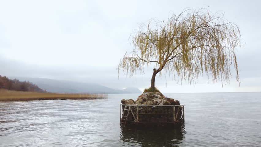 Serene autumn landscape: A lone willow tree stands on a small, rocky island in the middle of a calm lake, its branches gently swaying. The sky is overcast, creating a tranquil and moody atmosphere.