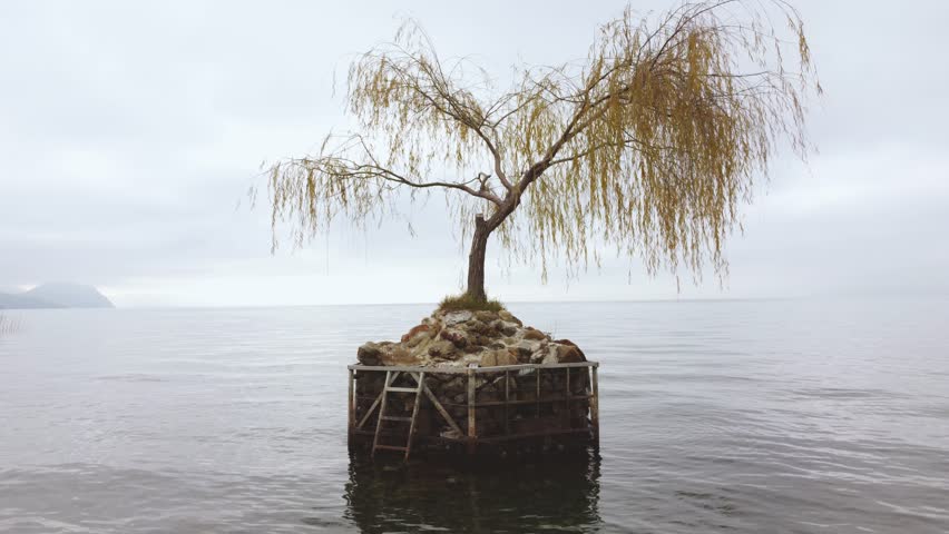 Serene autumn landscape: A lone willow tree stands on a small, rocky island in the middle of a calm lake, its branches gently swaying. The sky is overcast, creating a tranquil and moody atmosphere.