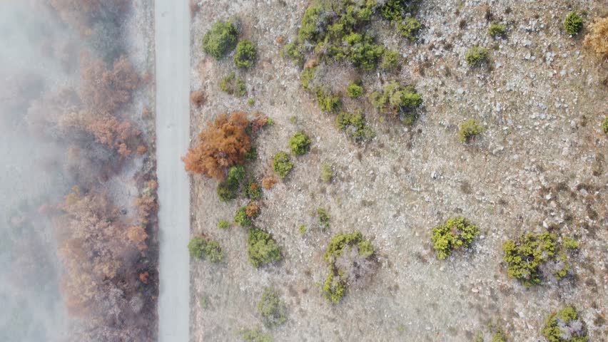 Aerial view of a winding road through a rugged, rocky landscape, bisecting dense fog and colorful autumnal foliage.