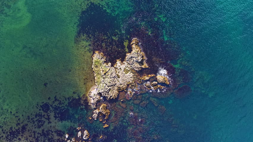 Vibrant shades of blue and green highlight the clear waters surrounding rocky formations. The serene coastal landscape invites exploration and discovery beneath the surface.