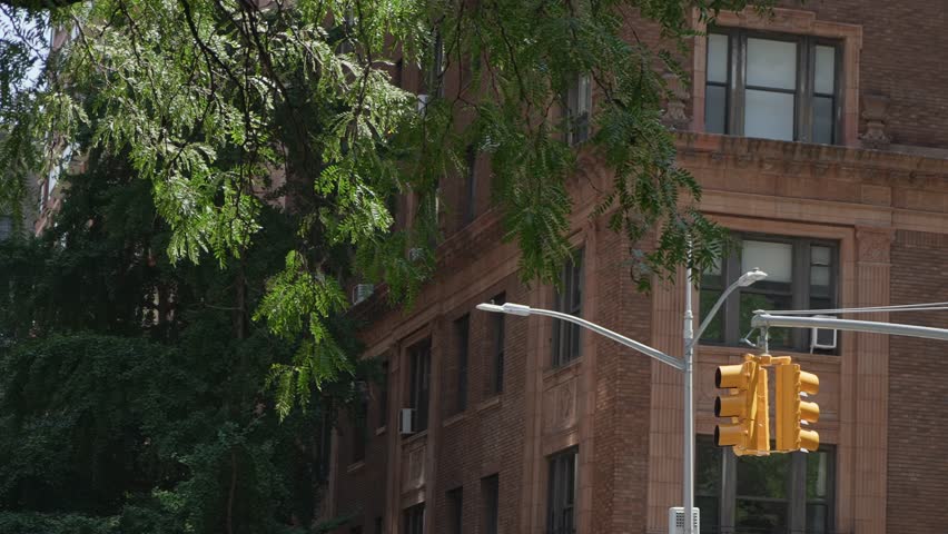 Brownstone Facade Framed By Leafy Trees, Amber Traffic Signal At Corner, Brick Textures And Stoop, Quiet Residential Intersection, Ideal