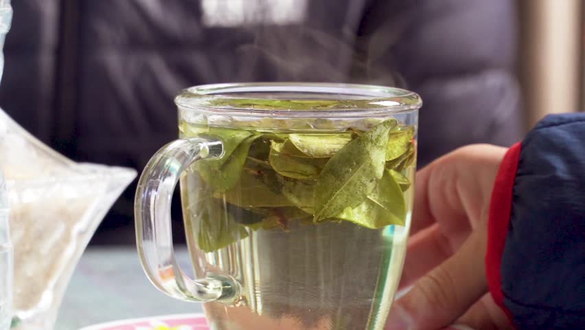 Glass cup of coca leaf tea 4k video