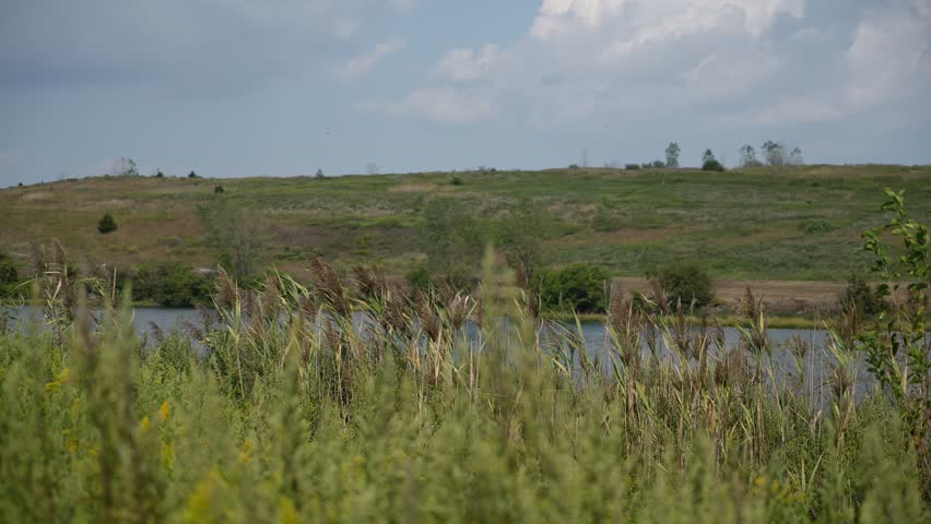 Serene Scene Showing Rippling Pond Surface, Tranquil Landscape With Reflective Pond And Gently Flowing Water In Background