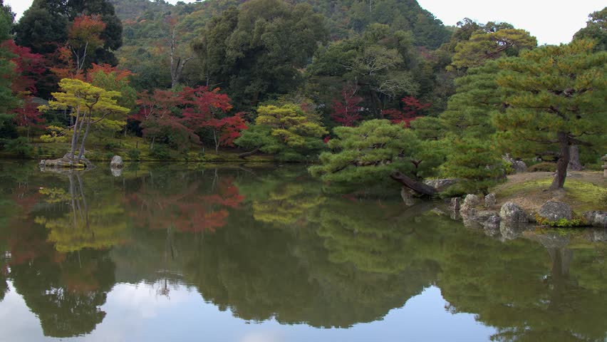 Beautiful garden of landscaped autumn trees surround tranquil pond
