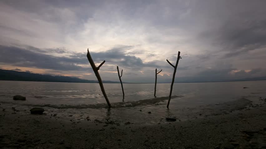 Wooden Sticks in Water Under Cloudy Sky