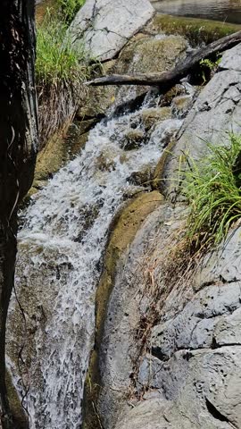 Close-up on branch caught in a small waterfall.