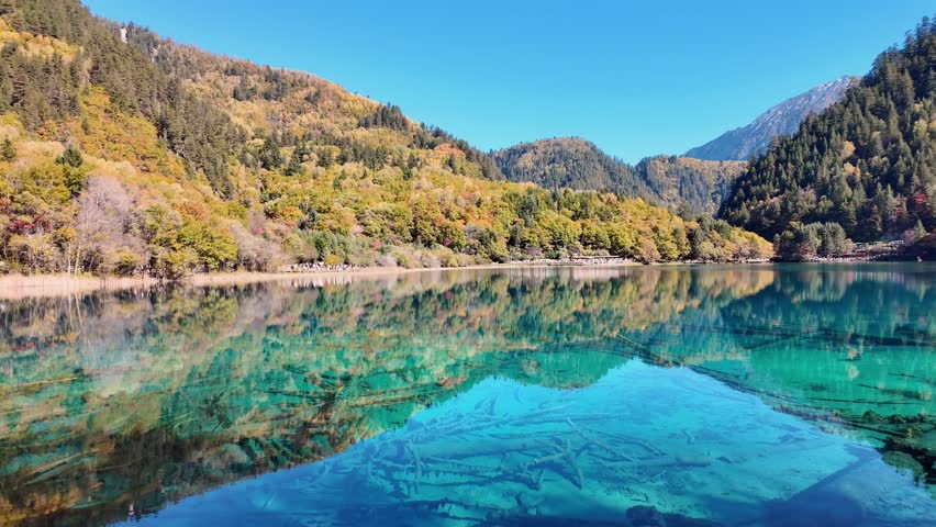 Scenery Jiuzhaigou national park in Sichuan, China. Beautiful Five Flower Lake in Autumn season. Famous Landmark and Vacation near Chengdu, China. Asia travel concept 
