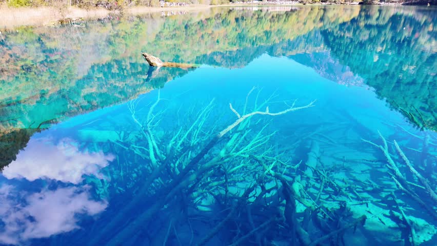 Scenery Jiuzhaigou national park in Sichuan, China. Beautiful Five Flower Lake in Autumn season. Famous Landmark and Vacation near Chengdu, China. Asia travel concept 