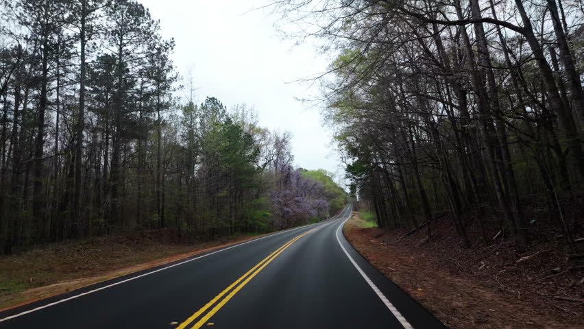 POV of driving footage along a freshly paved rural road surrounded by early spring trees and dense greenery. Winding roadway, overcast sky, quiet forest scenery 