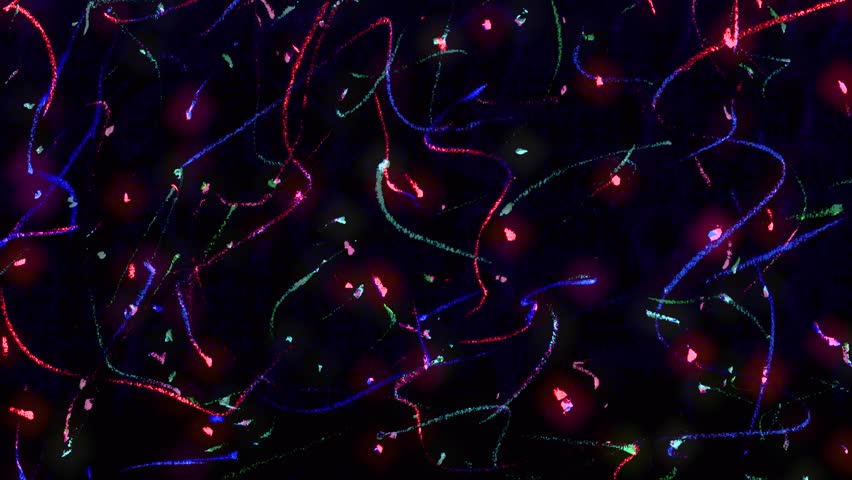 christmas light handdrawn background stopmotion, colorful scribble pencil crayon etch lines on black background, drawing overlay animation, particle lines