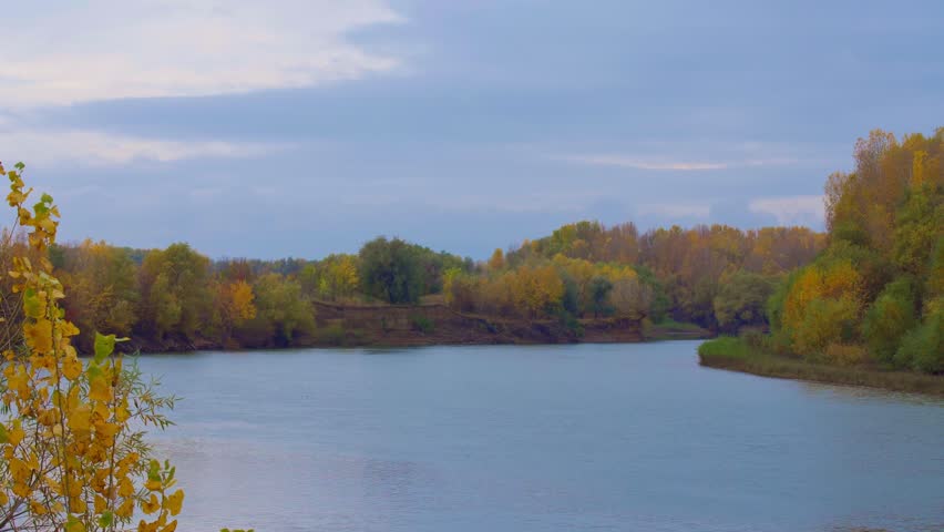 river and forest, beautiful autumn landscape, yellow leaves on trees, cloudy weather
