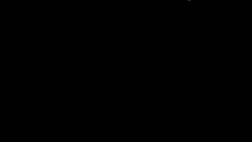 Modern motion graphic promotional video featuring Big Sale 5% text, clean and minimal design, bold typography and vibrant colors, suitable for digital marketing, online advertising, social media, webs