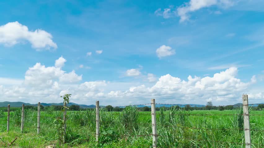 MS, Barbed wire fence surrounding prison, guard tower in background, Barrier from strangers people, refugees, prisoners. heavy duty chain-link fence