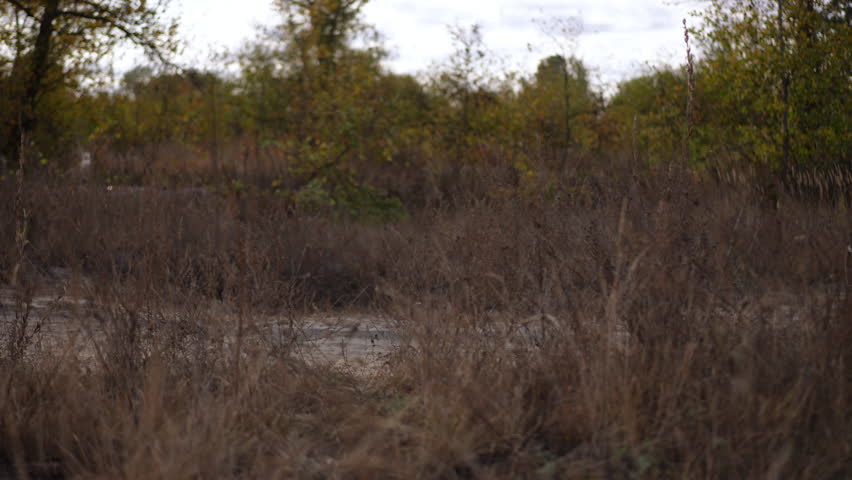 Rider on motorbike in dry field, yellow jacket and helmet negotiating muddy trail through tall brown grasses and autumn scrub, distant trees and overcast sky
