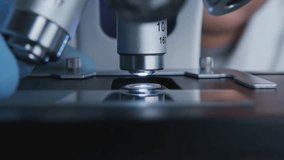 Microscopic views of the smallpox virus are helping research to eradicate it. Scientists study it in the lab to understand its effects and history. - Powered by Shutterstock - Get 15% off with code: PIKWIZARD15