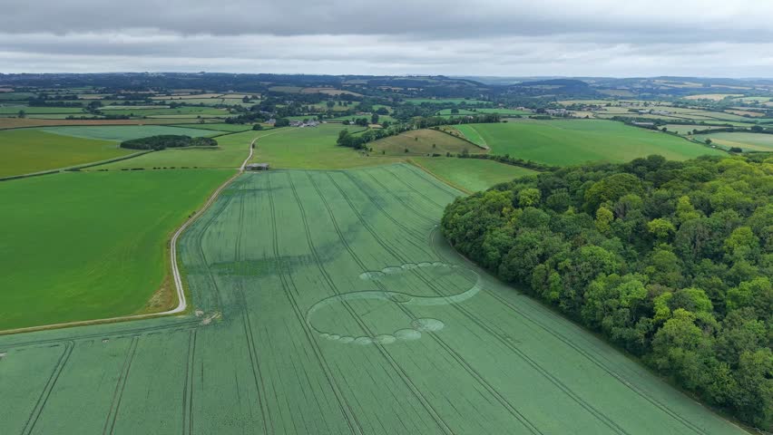 Aerial 4K footage video clip of a mysterious, intricate, geometric crop art, crop circle formation in a barley field near Charlton, Wiltshire, England, UK in 2025