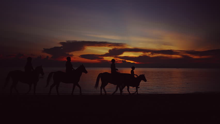 Silhouettes of Horse Riders Moving Along Beach at Sunset with Fiery Sky Reflected in Ocean, Slow Motion Freedom and Serenity Scene.