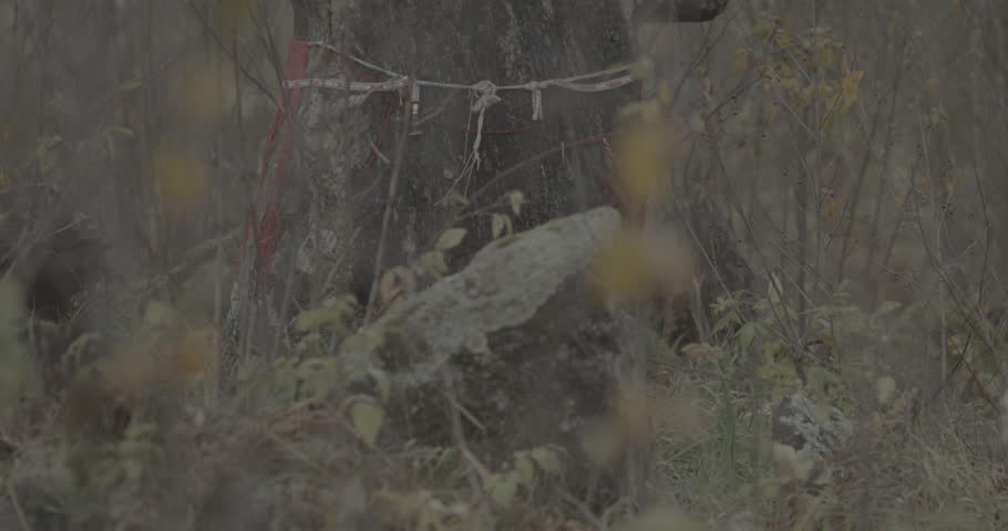 Old Stone Cross In Ancient Graveyard. Slavic Orthodox tombs burials. Babtsy, Vitebsk Region, Belarus. Ungraded C-LOG 2, ungraded, canon c-log