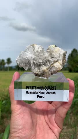Pyrite on Quartz from Huanzala Mine Peru
