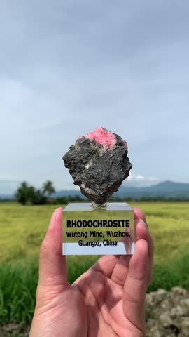 Rhodochrosite on Matrix from China