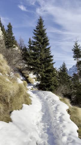 Walking along a narrow mountain trail covered with snow, surrounded by pine trees and alpine landscape. First-person view hiking path in winter mountains.