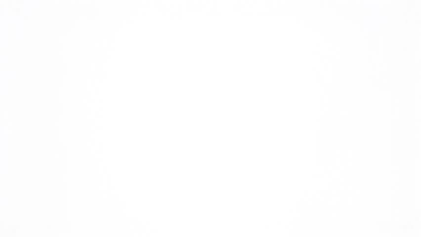 tiger face vector line art black and white , white background