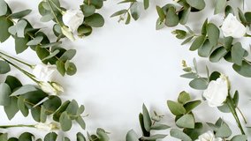 Fresh Eucalyptus plant leaves close up. Beautifully Eucalyptus laid out on white background with flowers. Eucalyptus extract, aromatic essential oil. Natural cosmetics for hair and skin care. - Powered by Shutterstock - Get 15% off with code: PIKWIZARD15