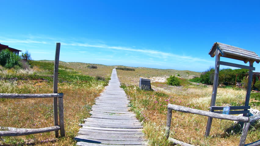 Wooden boardwalk surrounded by vegetation in Sardinia Italy