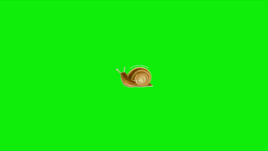 Cute Snail Animation, Perfect for children’s content, educational videos, storytelling, eco-themed projects, cartoons, presentations, and social media animations. Animation, green screen background. 