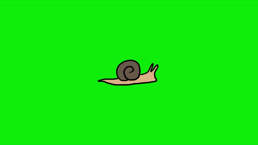Cute Snail Animation, Perfect for children’s content, educational videos, storytelling, eco-themed projects, cartoons, presentations, and social media animations. Animation, green screen background. 