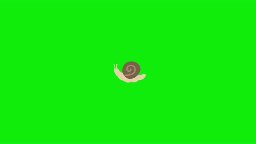 Cute Snail Animation, Perfect for children’s content, educational videos, storytelling, eco-themed projects, cartoons, presentations, and social media animations. Animation, green screen background. 