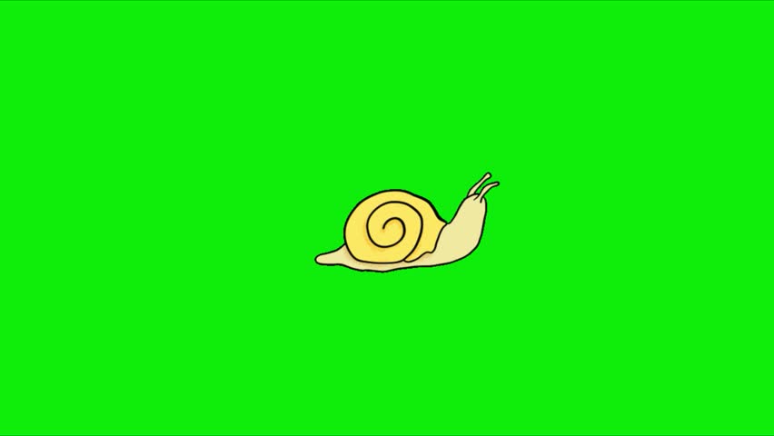 Cute Snail Animation, Perfect for children’s content, educational videos, storytelling, eco-themed projects, cartoons, presentations, and social media animations. Animation, green screen background. 