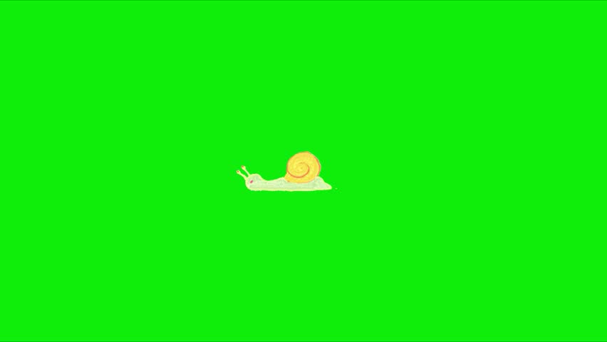 Cute Snail Animation, Perfect for children’s content, educational videos, storytelling, eco-themed projects, cartoons, presentations, and social media animations. Animation, green screen background. 