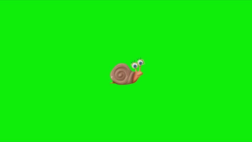 Cute Snail Animation, Perfect for children’s content, educational videos, storytelling, eco-themed projects, cartoons, presentations, and social media animations. Animation, green screen background. 