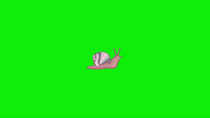 Cute Snail Animation, Perfect for children’s content, educational videos, storytelling, eco-themed projects, cartoons, presentations, and social media animations. Animation, green screen background. 