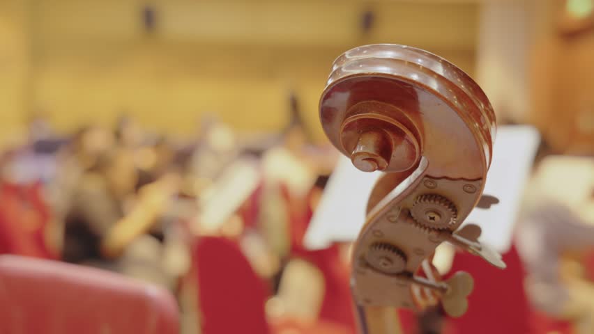 Extreme close-up of the neck of a double bass