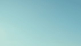 A flock of pigeons flying in the blue sky. - Powered by Shutterstock - Get 15% off with code: PIKWIZARD15