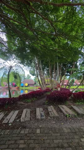 Vertical cinematic footage of walking on a small path between trees in hyperlapse motion. Forest videography with a small path in the middle of a lake in 4K HD resolution.