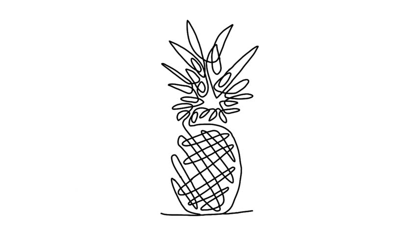 Continuous line animation of pineapple