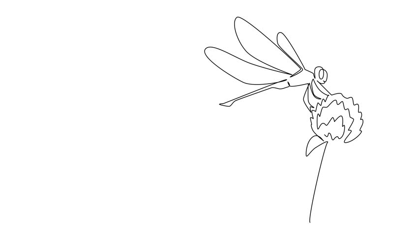 Self drawing animation of single line drawing of a dragonfly resting atop a blooming flower petal, symbolizing renewal and beauty. This nature themed for National Dragonfly Day. Full length animated