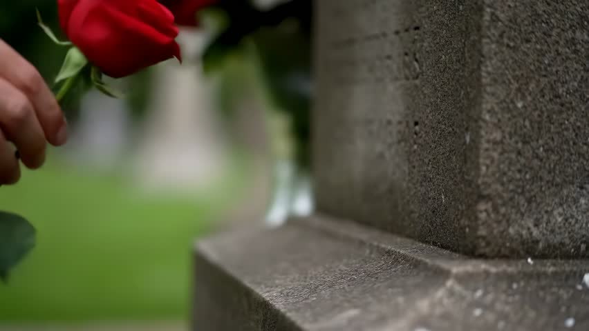 A poignant moment of remembrance as a hand gently places a red rose on a gravestone, evoking emotions of love, loss, and respect.