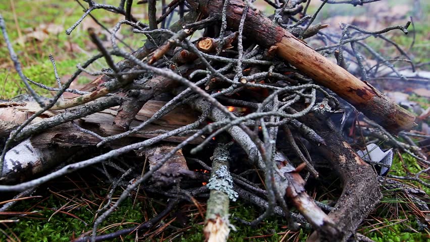 Close up view of burning kindling and small wood branches forming camp fire in natural outdoor environment. Flames ignite dry forest debris creating smoke and heat for survival activity.