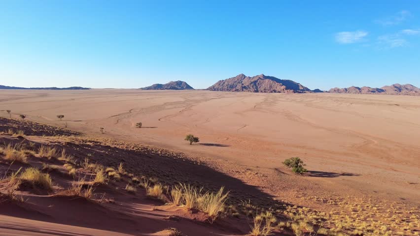 Static view from the Elim Dunes shows a red sand slope dotted with dry grasses falling away to vast pale gravel plains and rugged inselberg mountains under a clear blue evening sky in the Namib Desert
