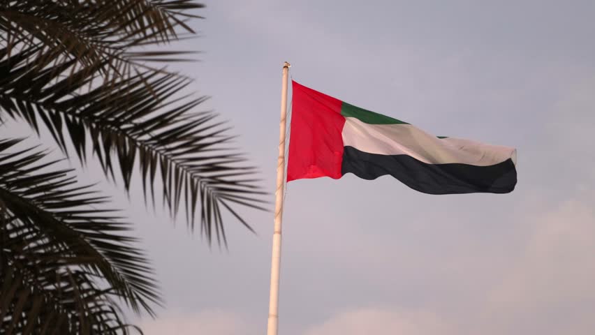 UAE flag waving in the cloudy sky next to the palm tree, national symbol of UAE. High quality 4k footage.
