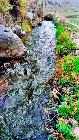 This relaxing nature video features fresh, crystal-clear water moving gently through a peaceful outdoor setting. The clean water and natural scenery create a soothing and refreshing visual experience,